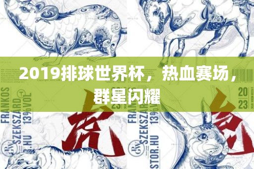 2019排球世界杯眉山市正发家政服务有限公司，热血赛场，群星闪耀
