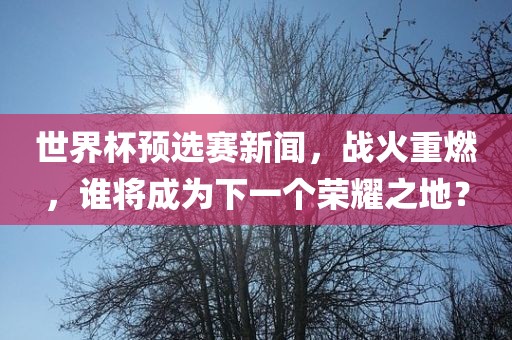世界杯预选赛新闻，战火重燃，谁将成为下一个荣耀之地？
