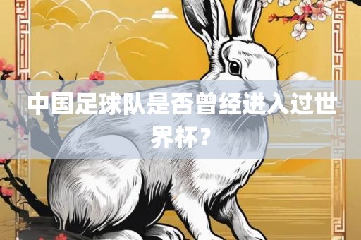 中国足球队是否曾经进入过世界杯？