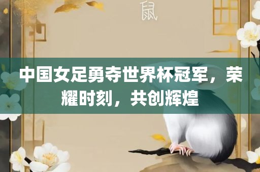 中国女足勇夺世界杯冠军，荣耀时刻，共创辉煌眉山市正发家政服务有限公司