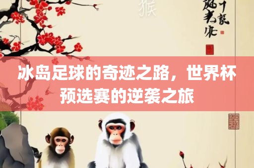 冰岛足球的奇迹之路，世界杯预选赛的逆袭之旅