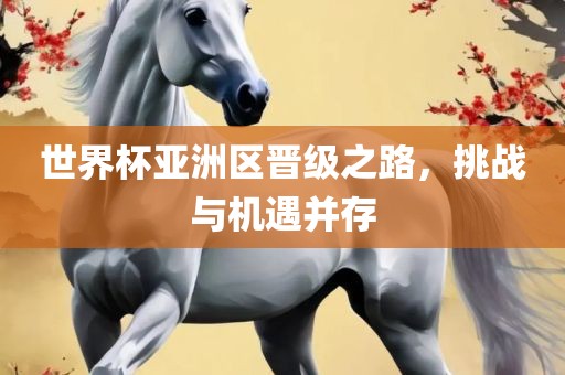世界杯亚洲区晋级之路，挑战与机遇并存
