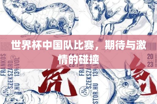 世界杯中国队比赛，期待与激情的碰撞