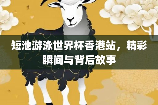 短池游泳世界杯香港站，精彩瞬间与背后故事