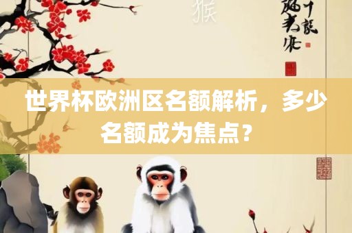 世界杯欧洲区名额解析，多少名额成为焦点？