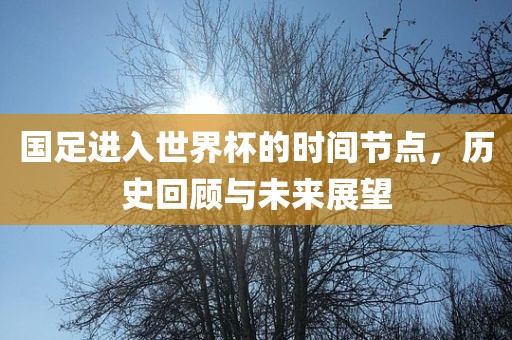 国足进入世界杯的时间节点，历史回顾与未来展望