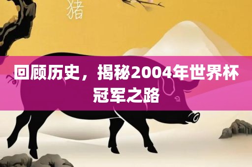 回顾历史，揭秘2004年世界杯冠军之路