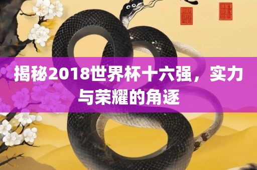 世界杯十六强