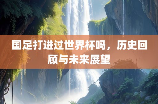 国足打进过世界杯吗，历史回顾与未来展望