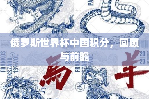 俄罗斯世界杯中国积分，回顾与前瞻眉山市正发家政服务有限公司