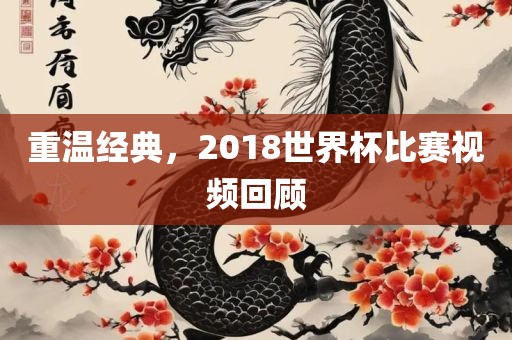 重温经典，2018世界杯比赛视频回顾