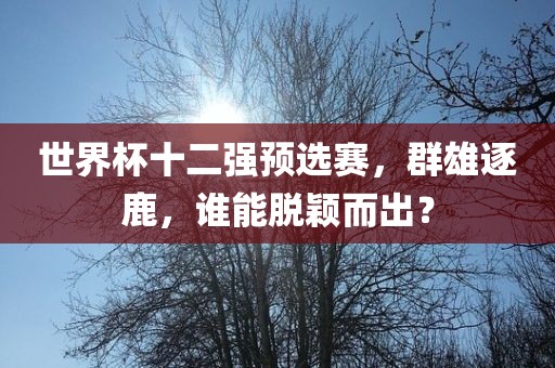 世界杯十二强预选赛，群雄逐鹿，谁能脱颖而出？