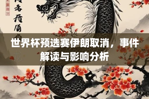 世界杯预选赛伊朗取消，事件解读与影响分析眉山市正发家政服务有限公司