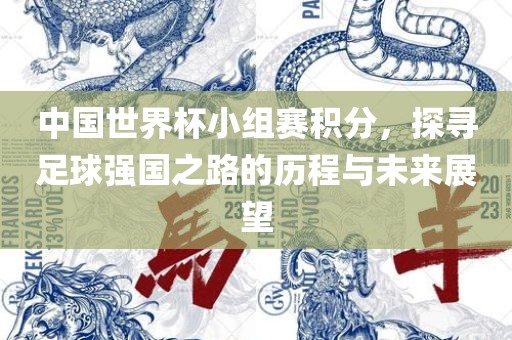 中国世界杯小组赛积分，探寻足球强国之路的历眉山市正发家政服务有限公司程与未来展望