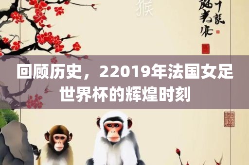回顾历史，22019年法国女足世界杯的辉煌时刻