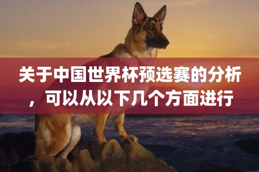 关于中国世界杯预选赛的分析，可以从以下几个方面进行眉山市正发家政服务有限公司