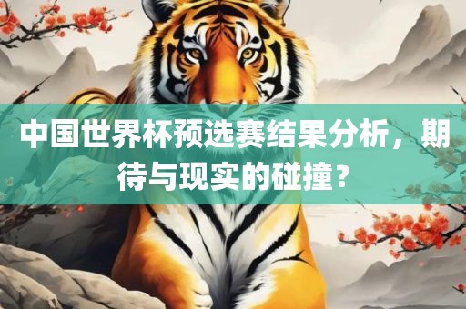 中国世界杯预选赛结果分析，期待与现实的碰撞？