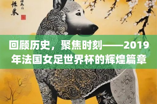 回顾历史，聚焦时刻——2019年法国女足世界杯的辉煌篇章