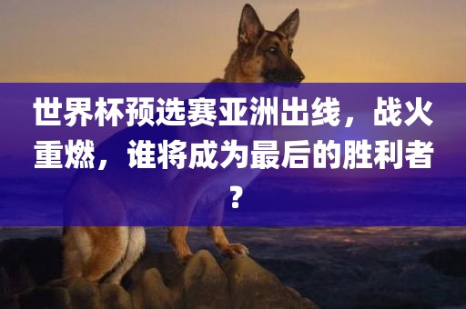 世界杯预选赛亚洲出线，战火重燃，谁将成为最后的胜利者？眉山市正发家政服务有限公司
