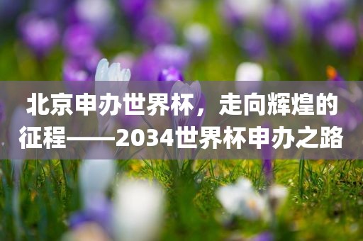 xianhui 第3页