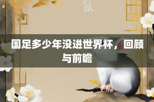 国足多少年没进世界杯，回顾与前瞻