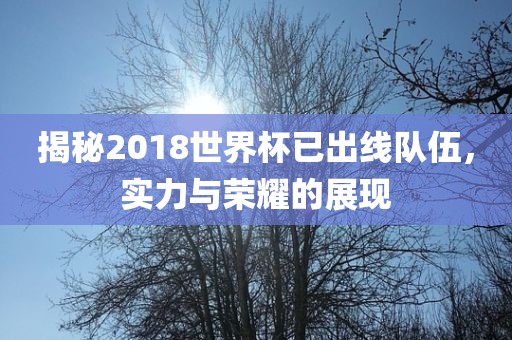 揭秘2018世界杯已出线队伍，实力与荣耀的展现