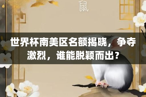 世界杯南美区名额揭晓，争夺激烈，谁能脱颖而出？