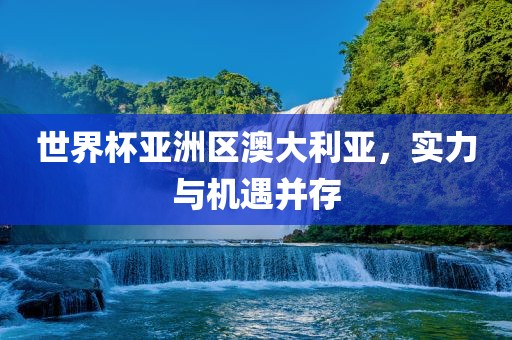 世界杯亚洲区澳大利亚，实力与机遇并存眉山市正发家政服务有限公司
