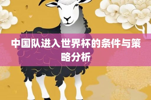 中国队进入世界杯的条件与策略分析眉山市正发家政服务有限公司