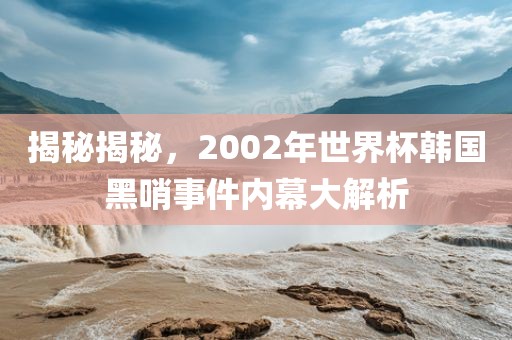 揭秘揭秘，2002年世界杯韩国黑哨事件内幕大解析