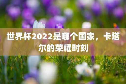 世界杯2022是哪个国家，卡塔尔的荣耀时刻