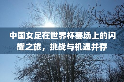 中国女足在世界杯赛场上的闪耀之旅，挑战与机遇并存