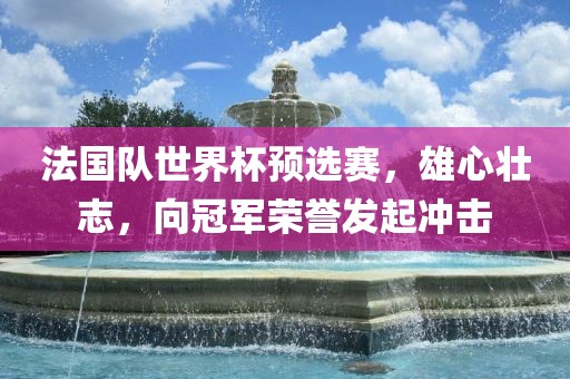 法国队世界杯预选赛，雄心壮志，向冠军荣誉发起冲击