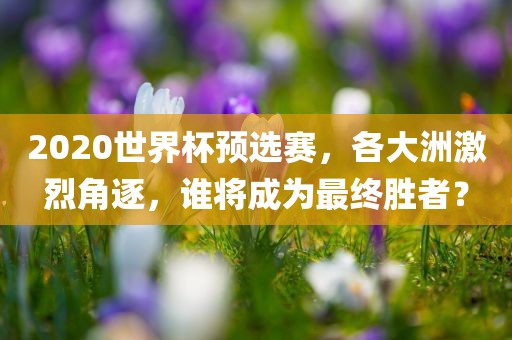 2020世界杯预选赛，各大洲激烈角逐，谁将成为最终胜者？