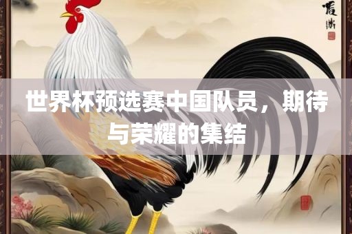 世界杯预选赛中国队员，期待与荣耀的集结眉山市正发家政服务有限公司