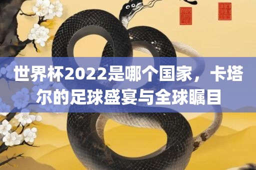 世界杯2022是哪个国家，卡塔尔的足球盛宴与全球瞩目