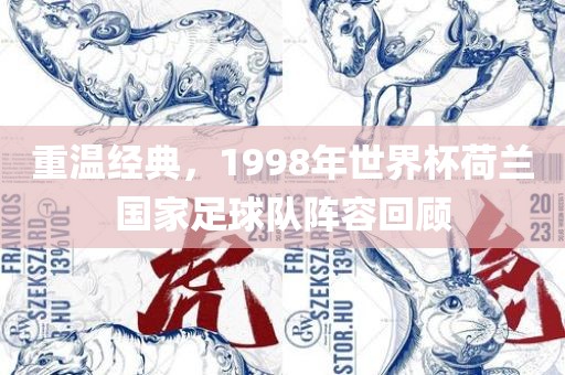 重温经典，1998年世界杯荷兰国家足球队阵容回顾