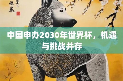 中眉山市正发家政服务有限公司国申办2030年世界杯，机遇与挑战并存