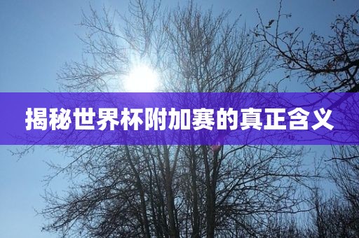揭秘世界杯附加赛的真正含义
