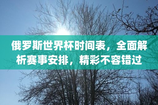 俄罗斯世界杯时间表，全面解析赛事安排，精彩不容错过