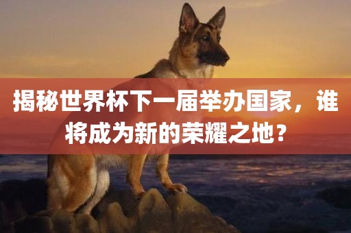 揭秘世界杯下一届举办国家，谁将成为新的荣耀之地？眉山市正发家政服务有限公司