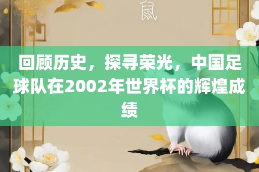 回顾历史，探寻荣光，中国足球队在2002年世界杯的辉煌成绩