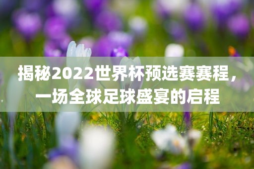 揭秘2022世界杯预选赛赛程，一场全球足球盛眉山市正发家政服务有限公司宴的启程