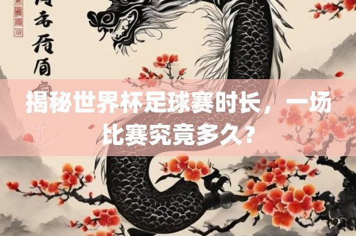 揭秘世界杯足球赛时长，一场比赛究竟多久？眉山市正发家政服务有限公司