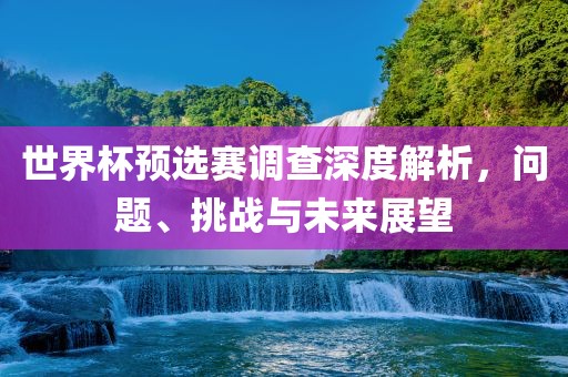 世界杯预选赛调查深度解析，问题、挑战与未来展望眉山市正发家政服务有限公司