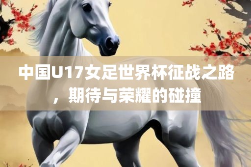 中国U17女足世界杯征战之眉山市正发家政服务有限公司路，期待与荣耀的碰撞