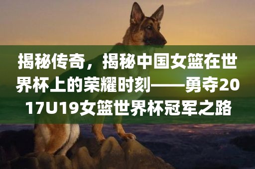 揭秘传奇，揭秘中国女篮在世界杯上的荣耀时刻——勇夺2017U19女篮世界杯冠军之路眉山市正发家政服务有限公司