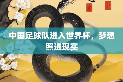 中国足球队进入世界杯，梦想照进现实