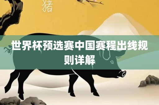 世界杯预选赛中国赛程出线规则详解