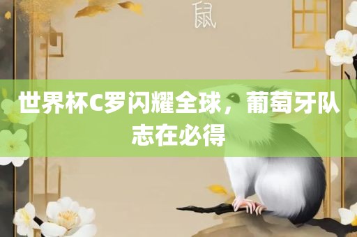 世界杯C罗闪耀全球，葡萄牙队志在必得眉山市正发家政服务有限公司